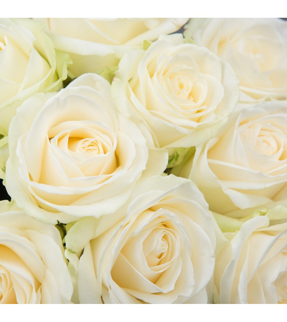 Bouquet de roses blanches longues